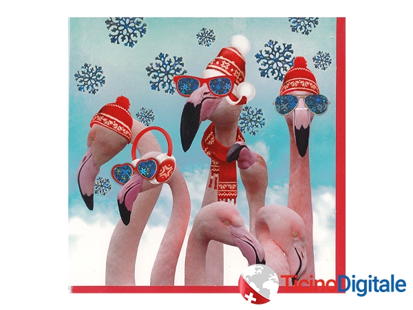 Barraud xmas card Flamingos