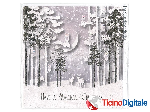 Barraud xmas card Snowfall and Moonlight