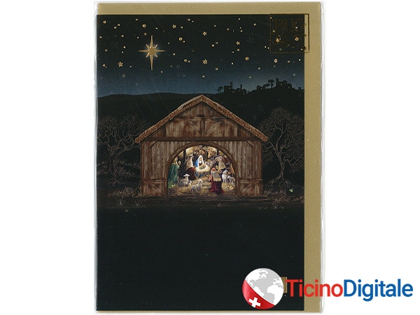 Bug Art xmas card Nativity Stable