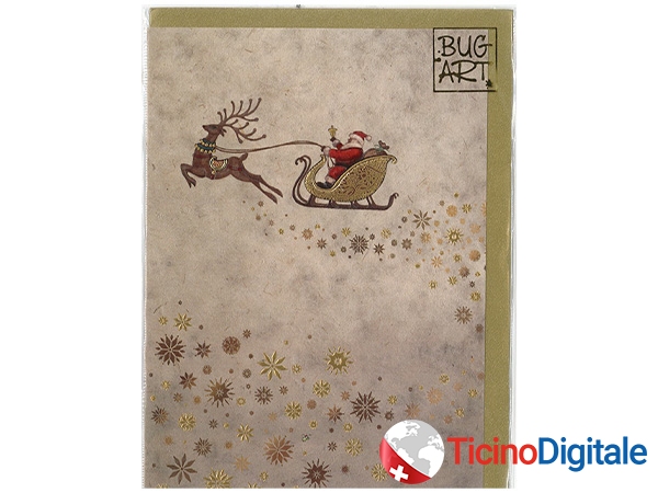 Bug Art xmas card Santa's Ride