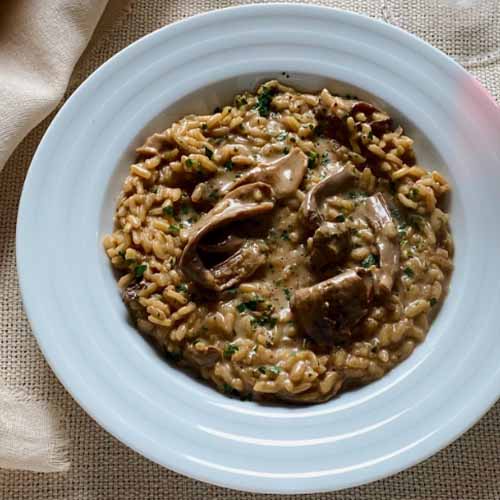 La cucina di mamma Jola
