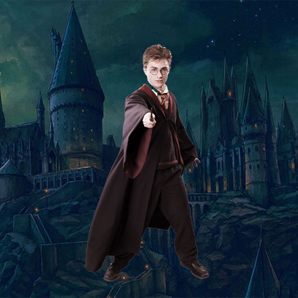 Modello Harry Potter