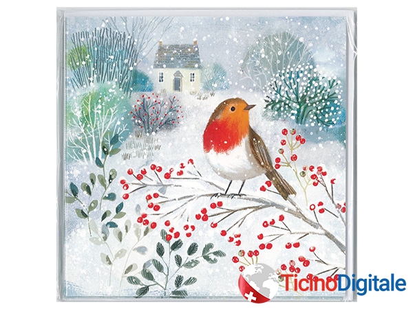 Barraud xmas card Robins