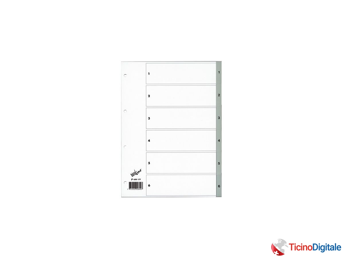 BÜROLINE Registro PP grigio A4 620177 1-6