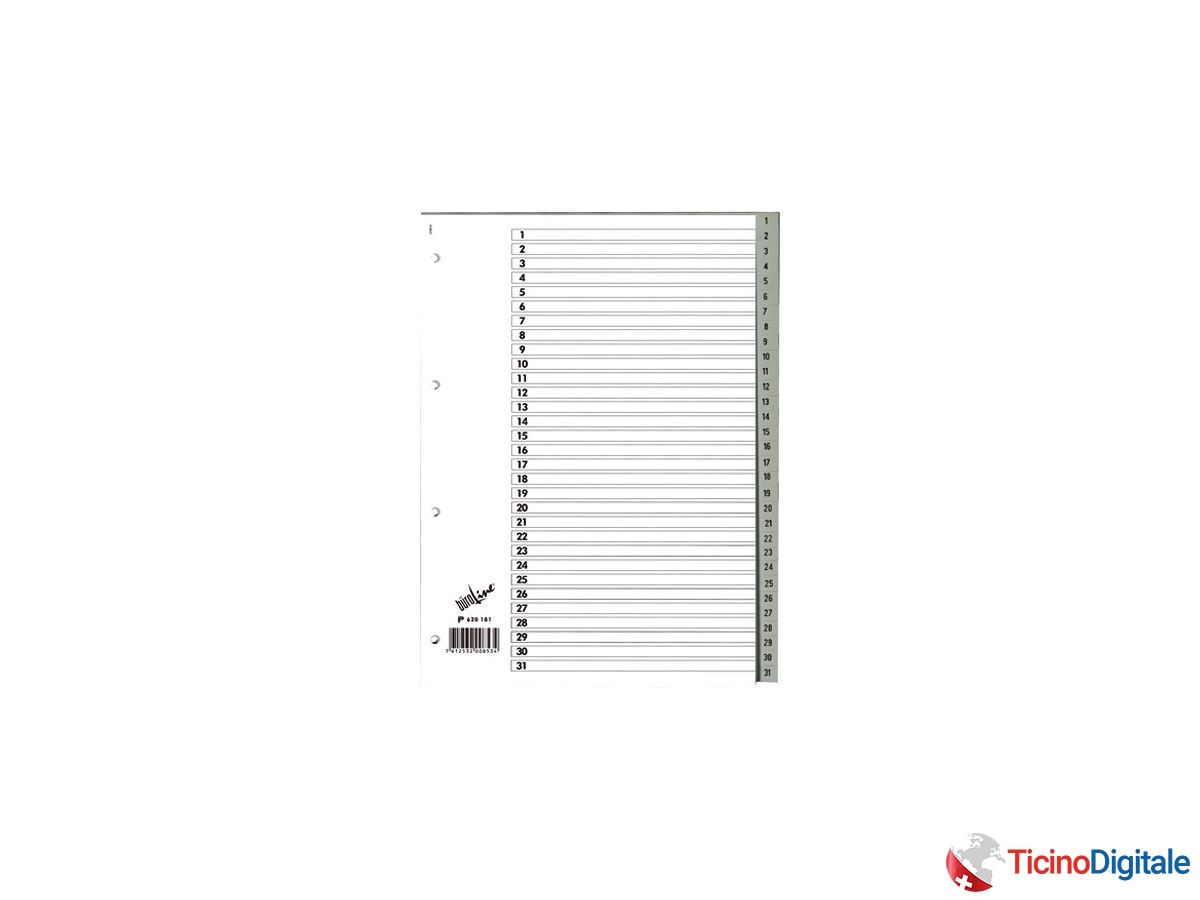 BÜROLINE Registro PP grigio A4 620181 1-31