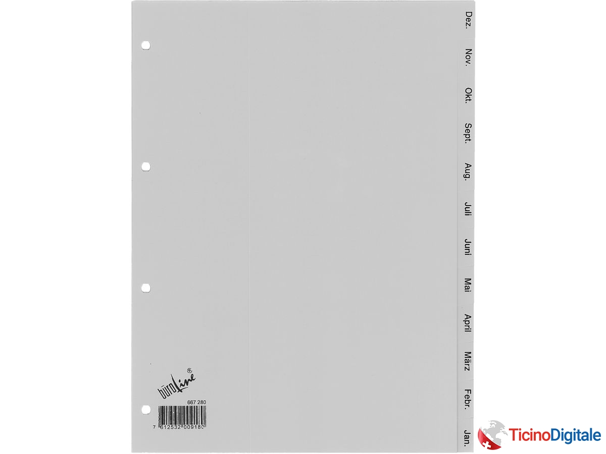BÜROLINE Registro PP grigio A4 667280 Dez.-Jan.