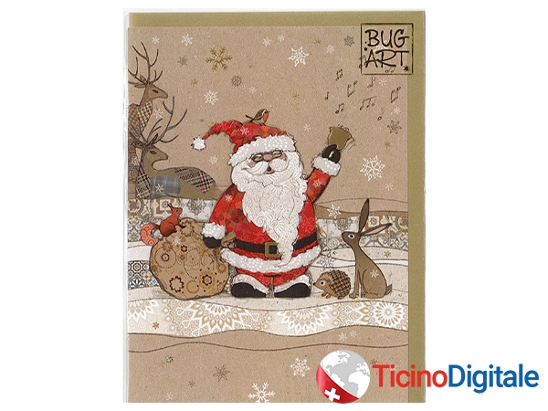 Bug Art xmas card Santa and Friends