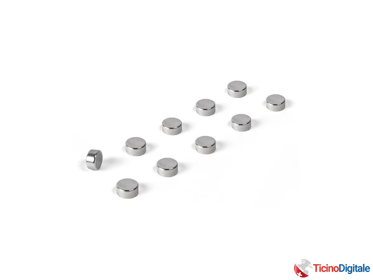 Calamite della TRENDFORM da 10 pezzi in argento