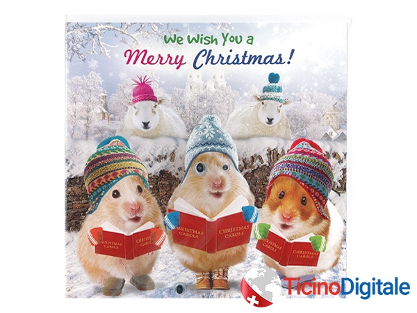 Googlies xmas card Hamster