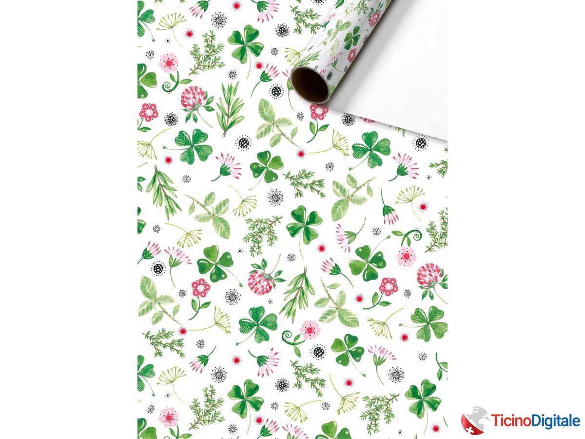 STEWO Carta da regalo Fridolin 2528574545 70x200cm verde FSC
