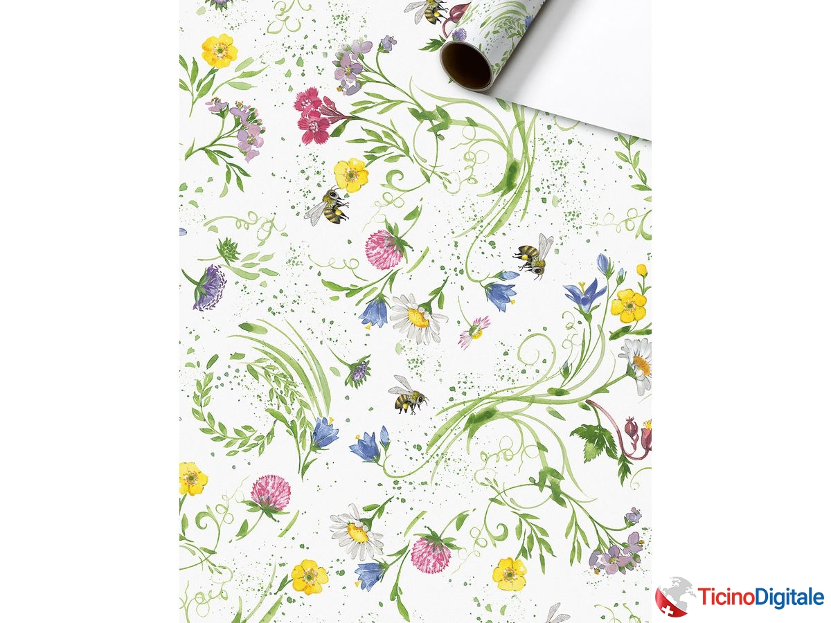 STEWO Carta da regalo Willis 2528631245 70x200cm verde