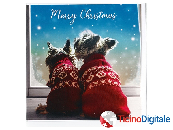 Tracks xmas card Dogs