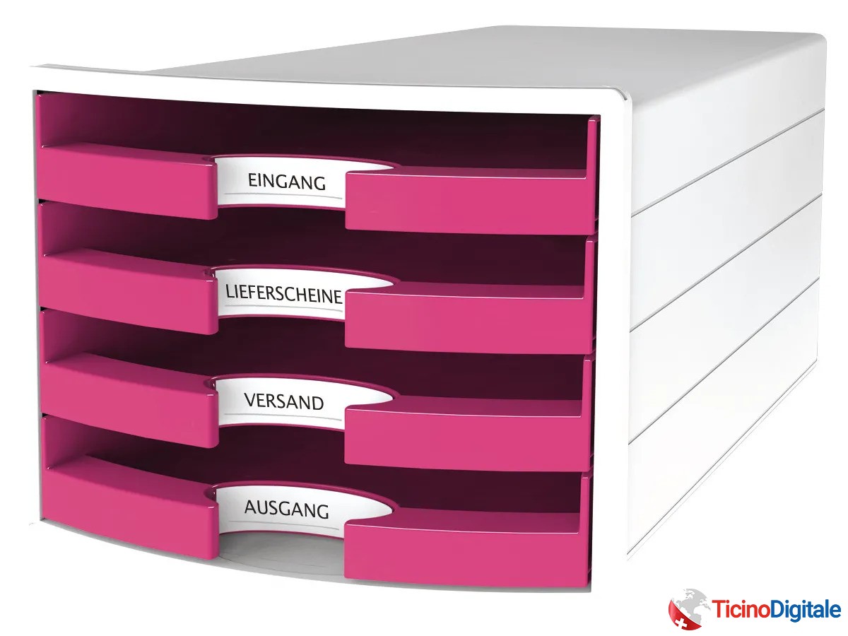 Vaschettta rosa della HAN da 4 scomparti