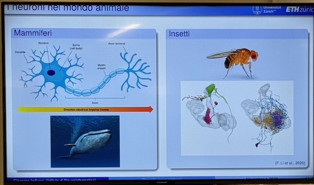 Conferenza del Prof. Indiveri sui Cervelli artificiali