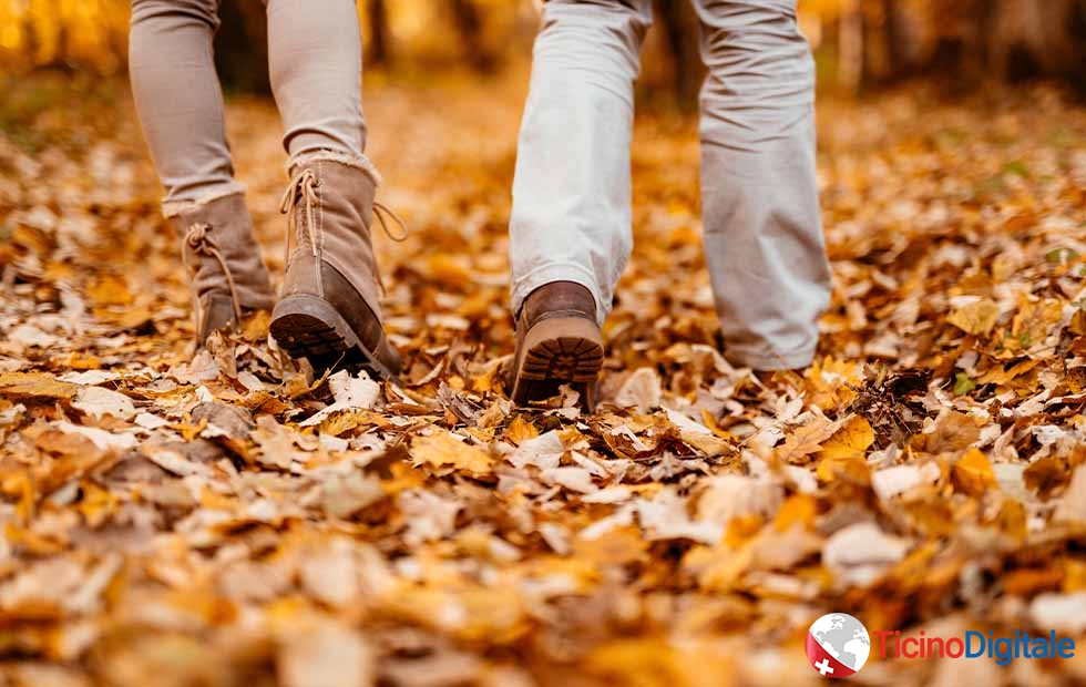 Cosa Fare ad Ottobre in Ticino: Scopri le Attività e gli Eventi del Mese Perfetto per la Natura e la Cultura