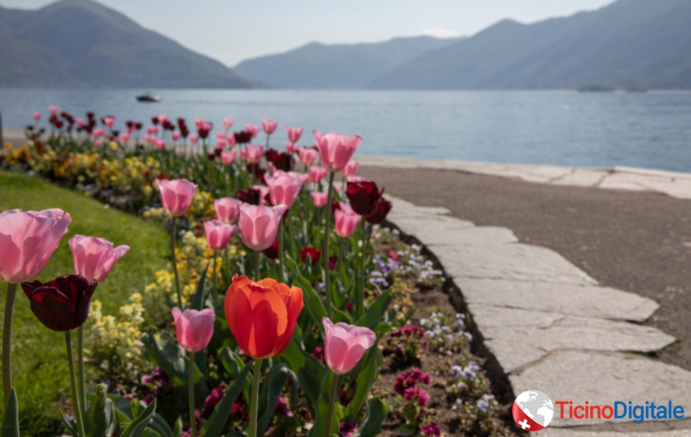 E' luglio! Quali soluzioni ci offre il Canton Ticino per rilassarsi?