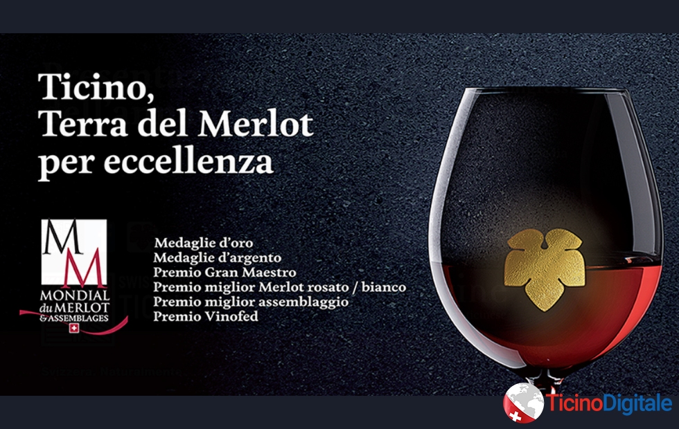 Il vino del 2022 sarà strepitoso. Approfittiamo del tour Ticinowine per assaggiarlo