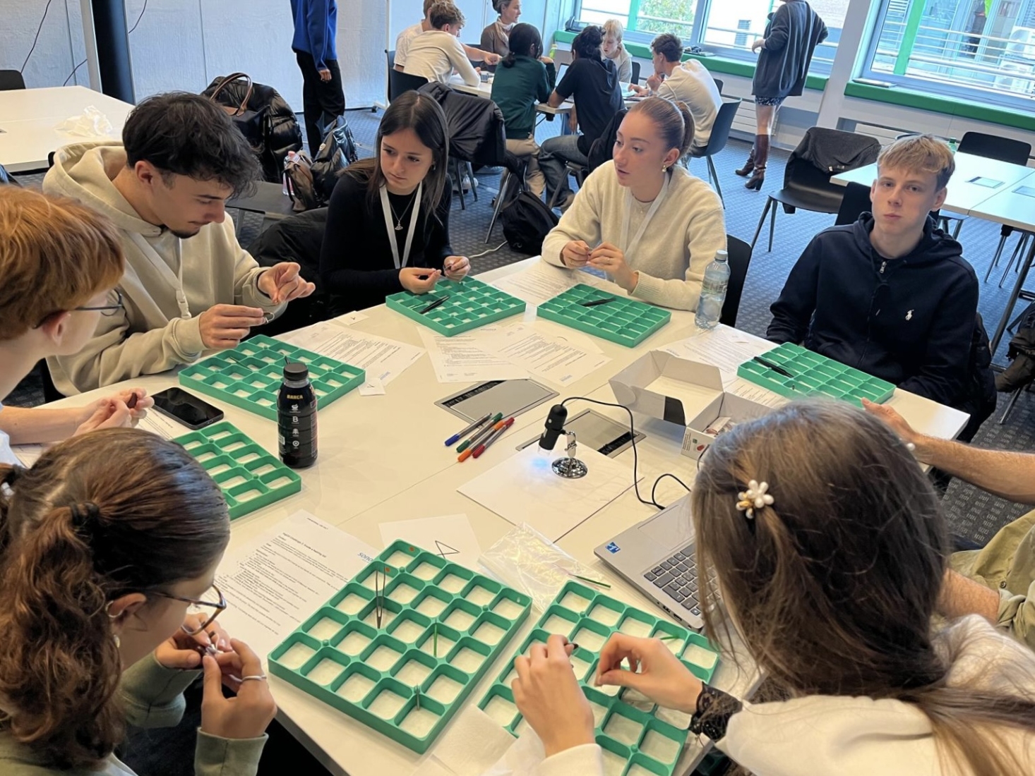 La classe terza impegnata per una settimana nelle attività per i PCTO