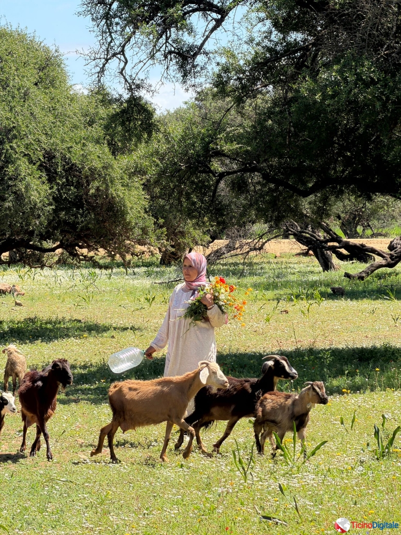 Yoga Retreat Essaouira 2026
